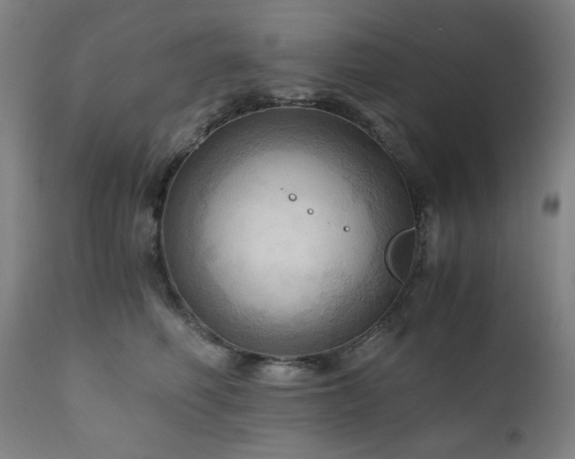 X0000111030614200906251306