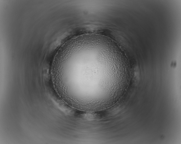 X0000111030615200906251306