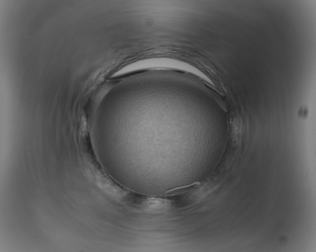 X0000111030617200906251306