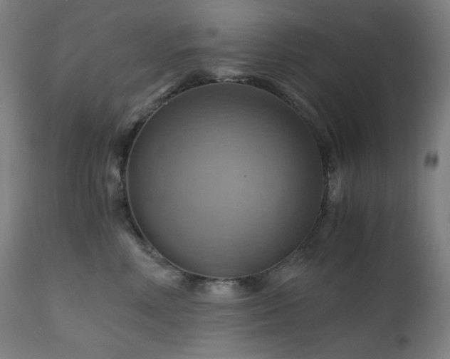 X0000111030618200906251306