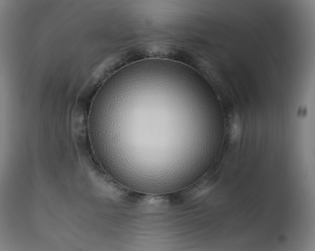 X0000111030619200906251306