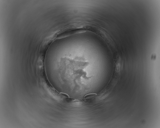 X0000111030620200906251306