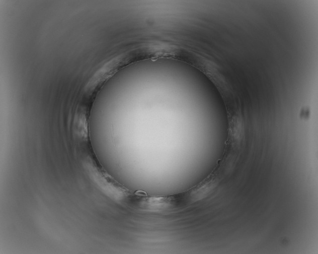 X0000111030622200906251306