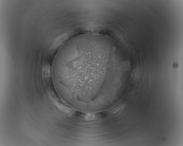 X0000111030623200906251306