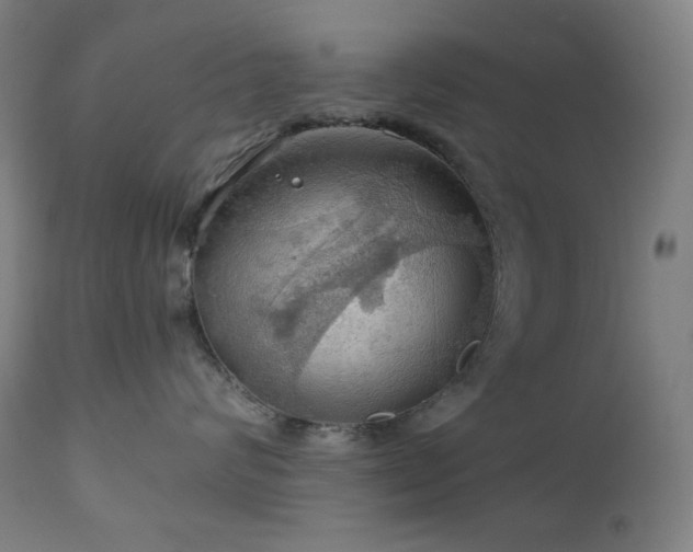 X0000111030624200906251306