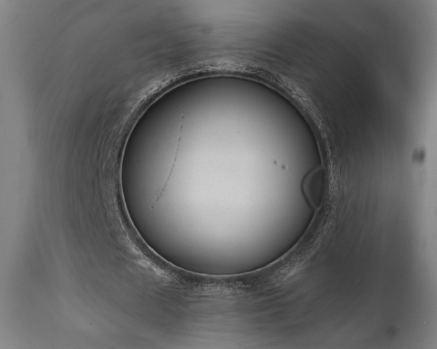 X0000111030625200906251305