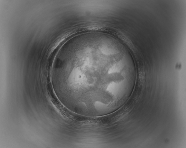 X0000111030626200906251305