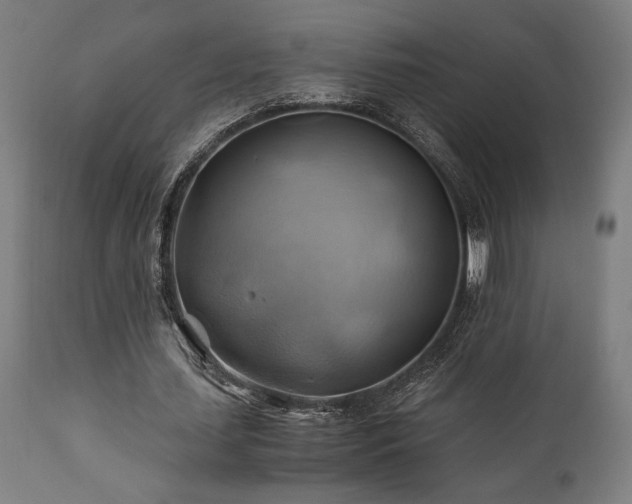 X0000111030627200906251305