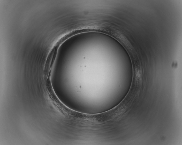 X0000111030628200906251305
