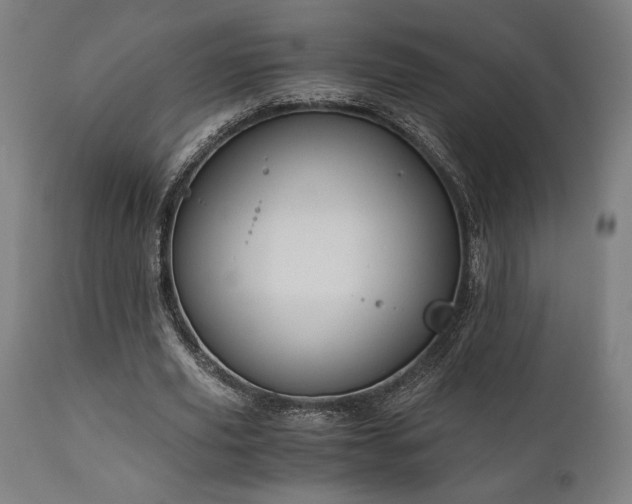 X0000111030629200906251305