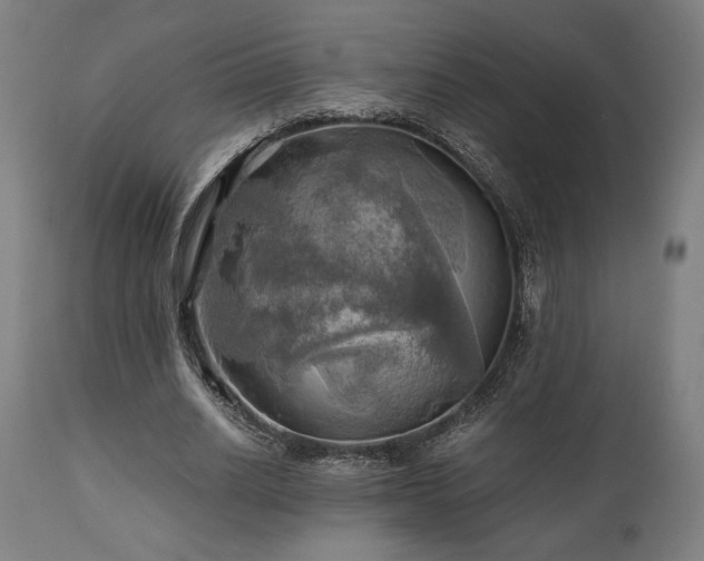 X0000111030630200906251305