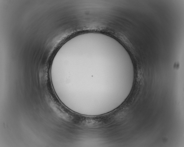X0000111030632200906251305