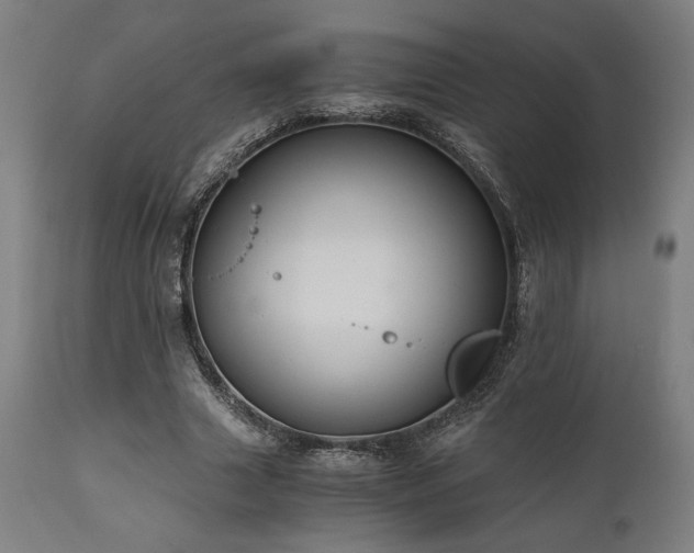 X0000111030633200906251305