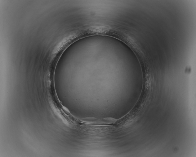 X0000111030634200906251305