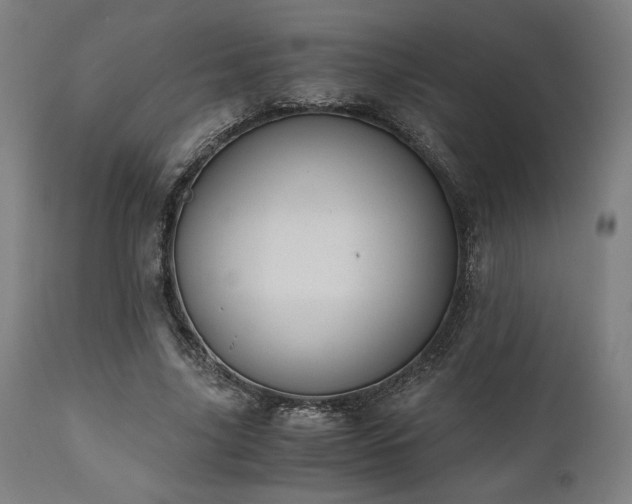 X0000111030635200906251305