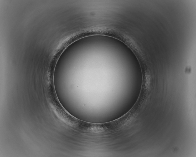 X0000111030636200906251305