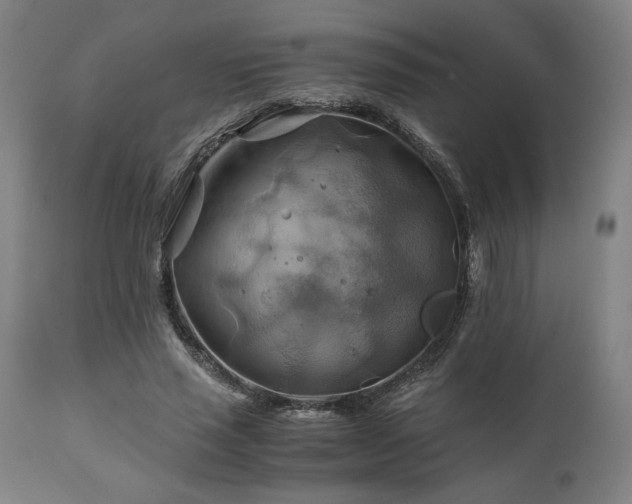 X0000111030637200906251305