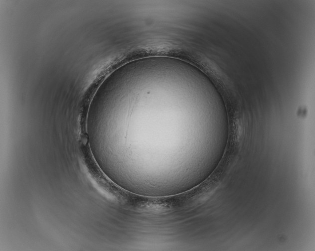 X0000111030638200906251306