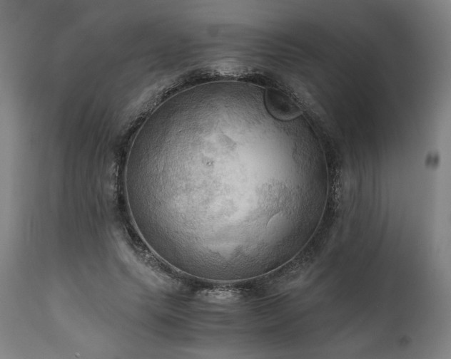 X0000111030639200906251306