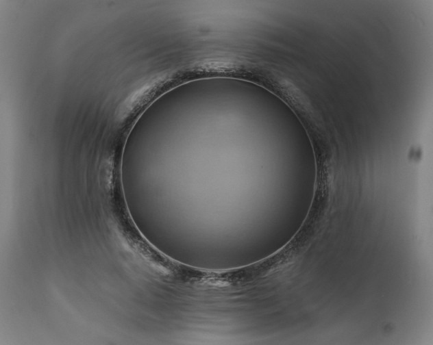X0000111030640200906251306