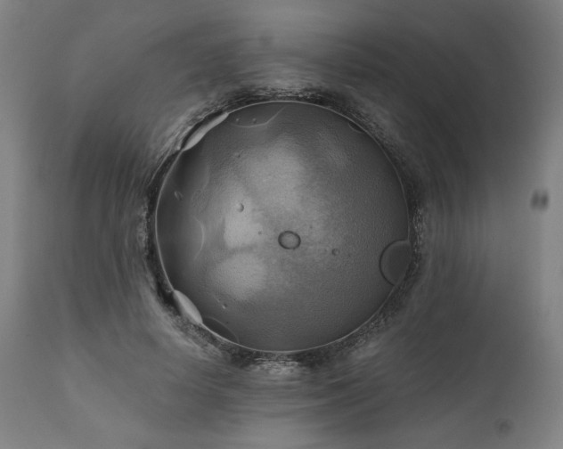X0000111030642200906251306