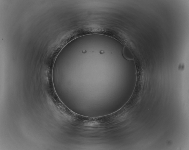 X0000111030643200906251306