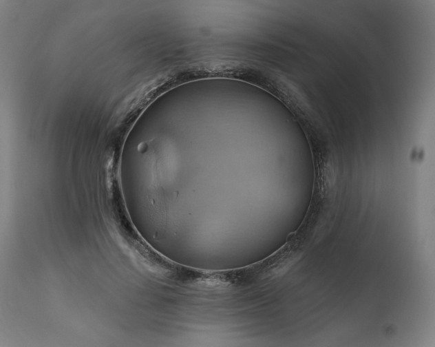 X0000111030644200906251306