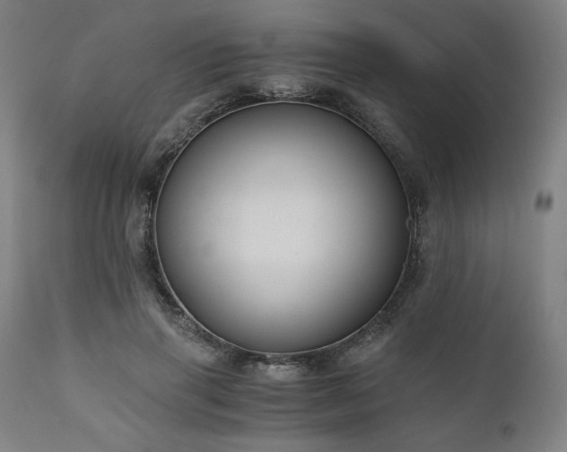 X0000111030645200906251306
