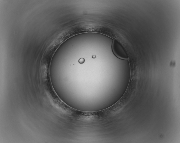 X0000111030646200906251306