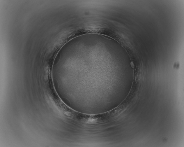 X0000111030647200906251306