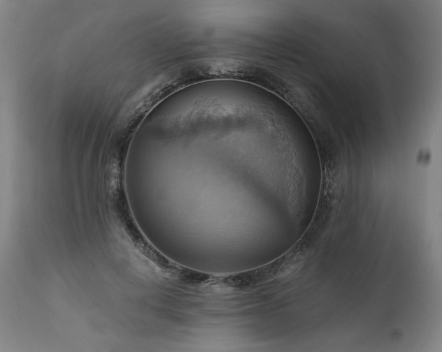X0000111030648200906251306