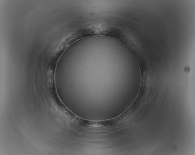 X0000111030650200906251306