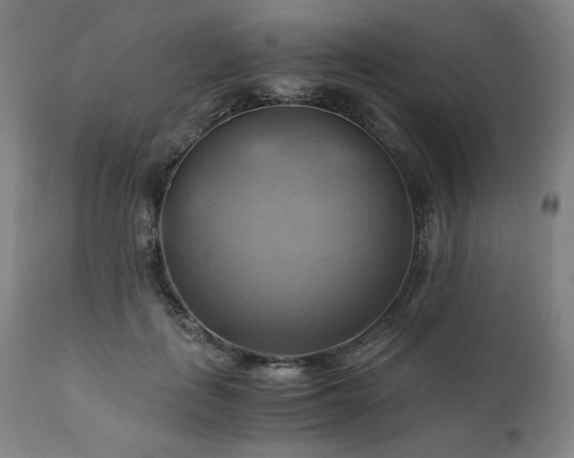 X0000111030651200906251306