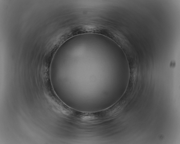 X0000111030653200906251306