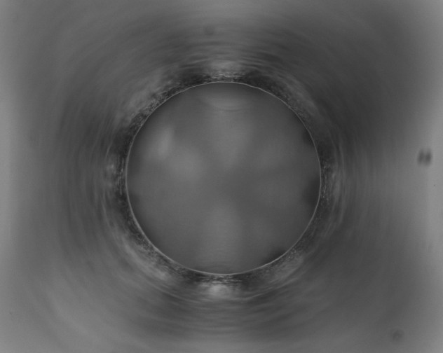 X0000111030655200906251306