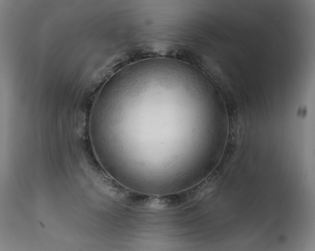 X0000111030656200906251306