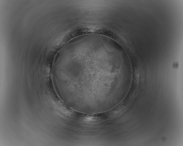 X0000111030657200906251306