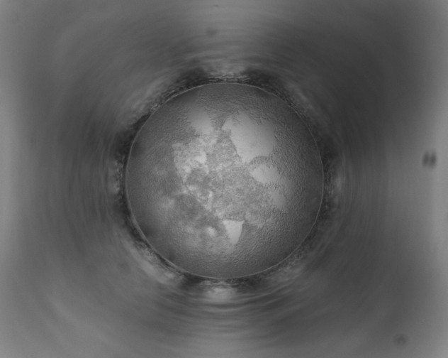 X0000111030658200906251306