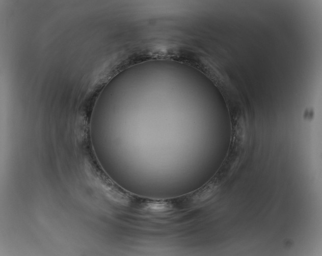 X0000111030659200906251306
