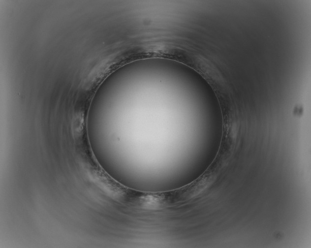X0000111030660200906251306