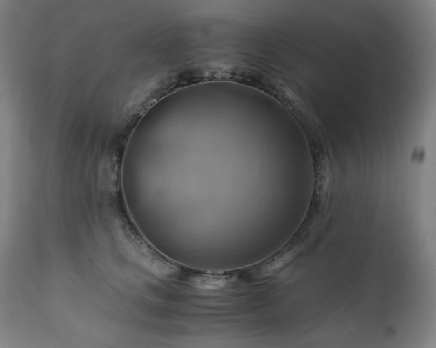 X0000111030661200906251306