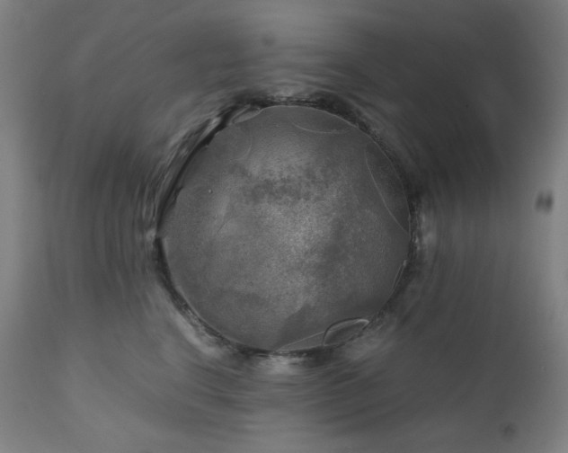 X0000111030664200906251306