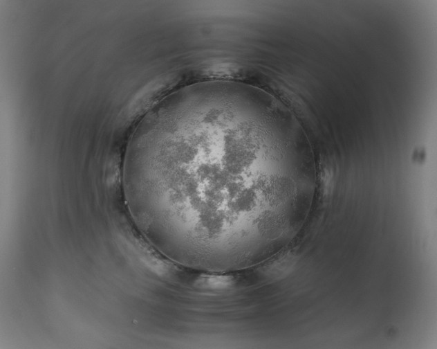 X0000111030665200906251306