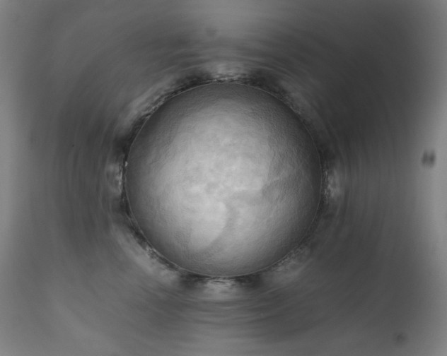 X0000111030666200906251306