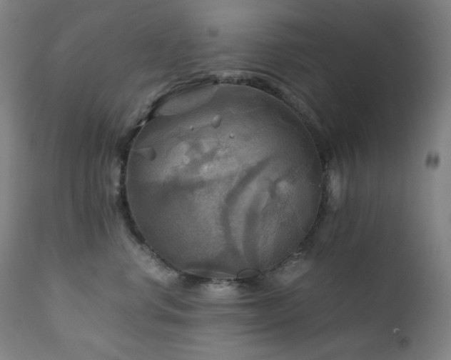 X0000111030668200906251306