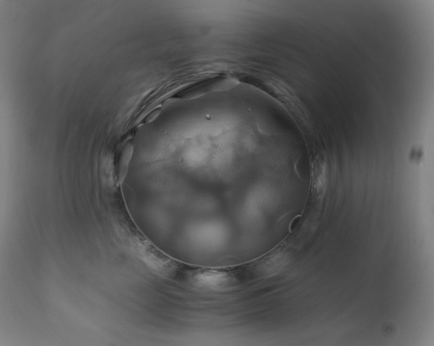 X0000111030669200906251306