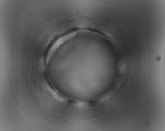 X0000111030670200906251306