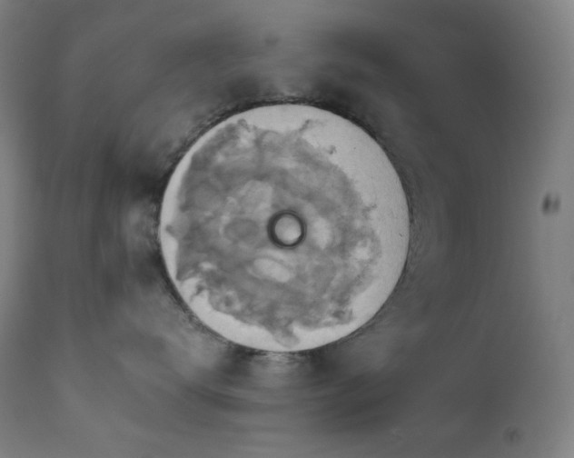 X0000111030672200906251306