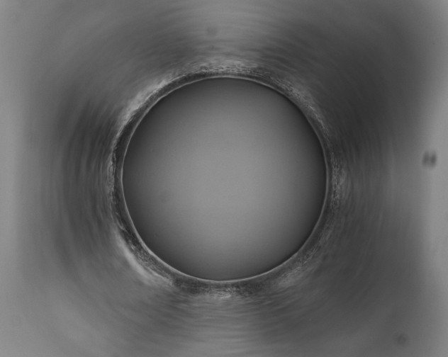 X0000111030674200906251305