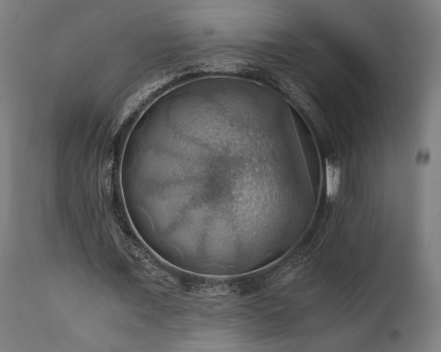 X0000111030675200906251305